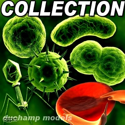 HQ Cell and viruses Collection3d model
