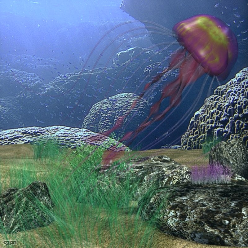 Jellyfish rigged3d model