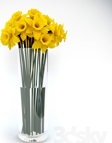 Tubular daffodil