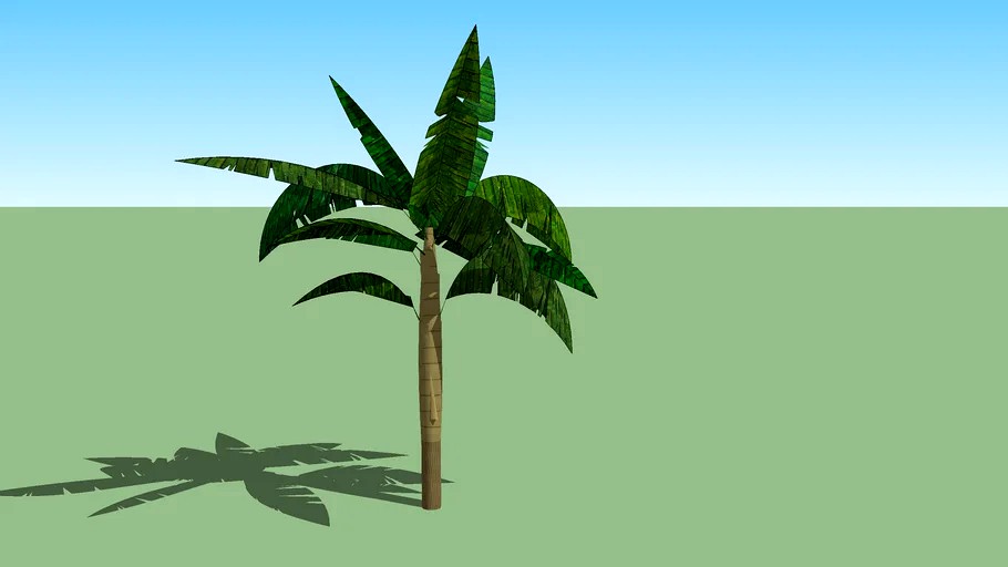 Banana tree