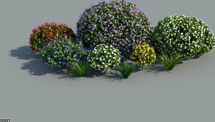 HQ Plants 2.1 - Firtrees3d model