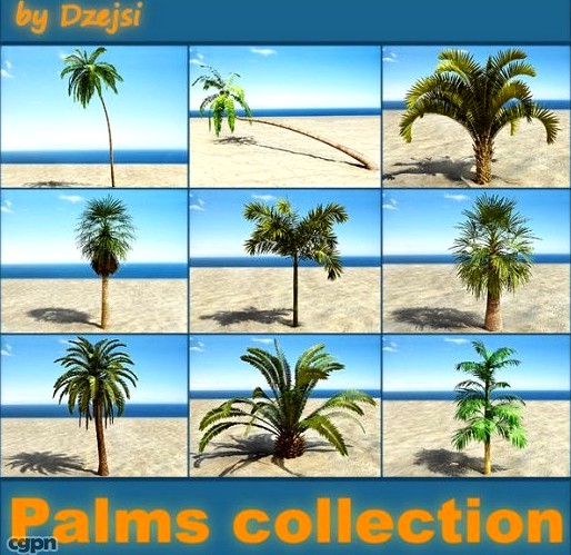 Palms collection3d model