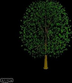 3D_Tree3d model