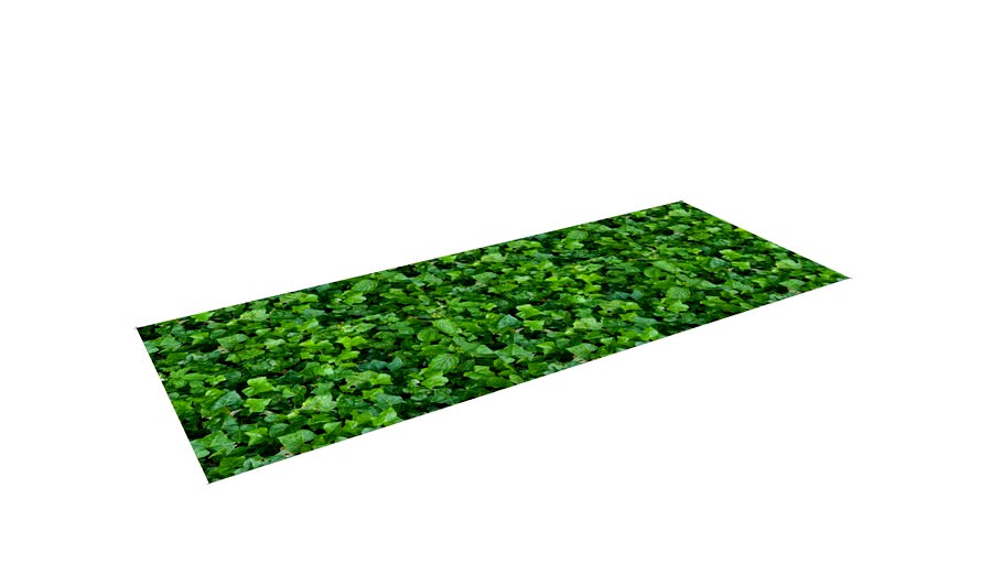 Hatch Patterns - Ground Cover - Ivy