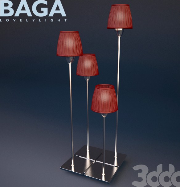 Baga 2452/P