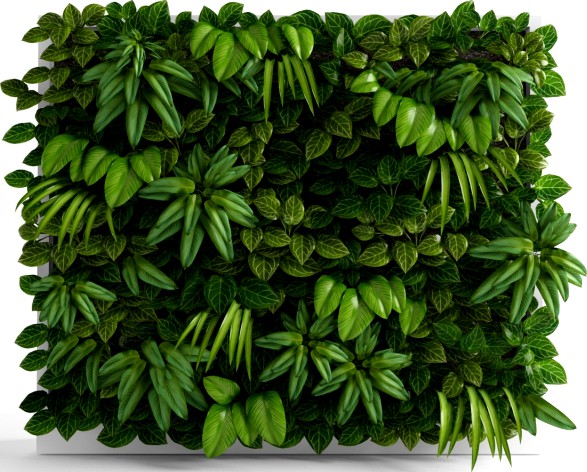 Green wall