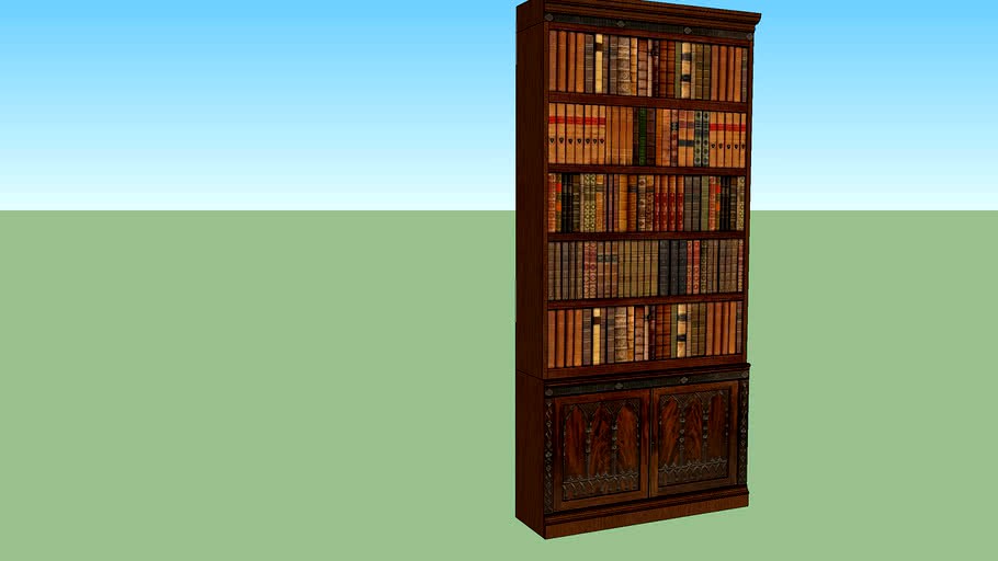 Old book Shelf