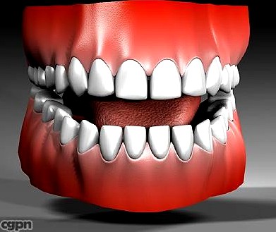 Human Mouth3d model