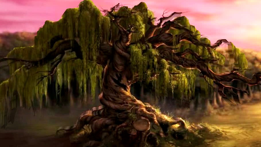'Whomping Willow'.. Harry Potter... 3D illusion..