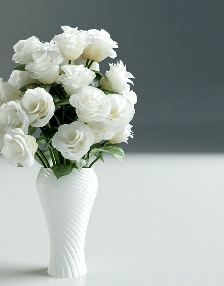 White Rose in Vase