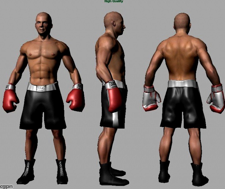 boxer lowpoly3d model