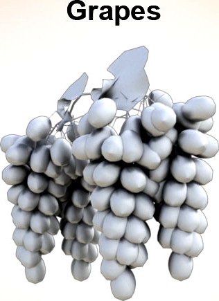 Bunch of grapes3d model
