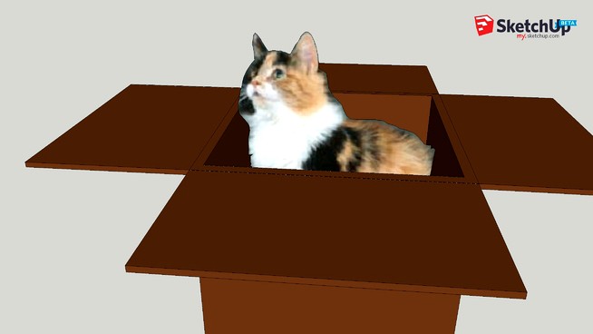 Wms ~ Kitty in a Box