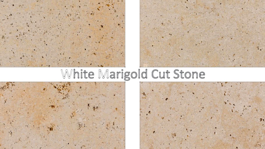 Buechel Stone White Marigold Cut Stone - Architectural Stone for Cut Stone Details 5x5 in