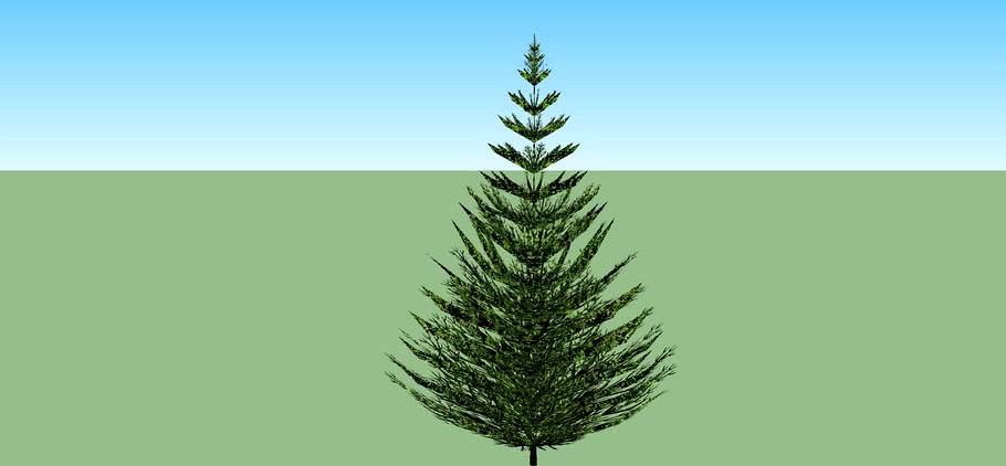 A Christmas Tree For the holiday