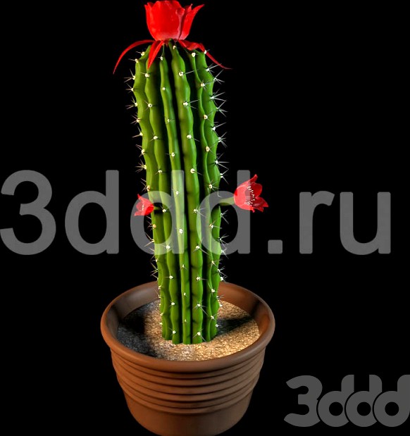 DDD FLOWERS