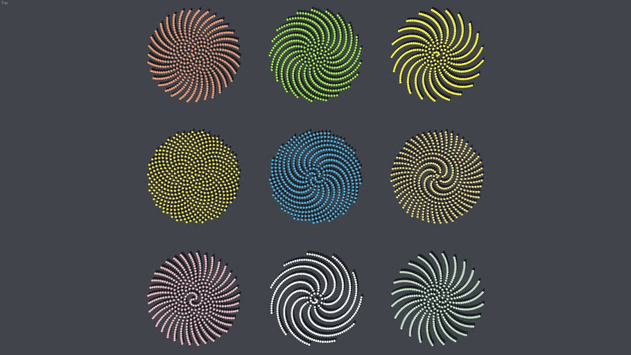 PHYLLOTACTIC SPIRAL VARIATIONS