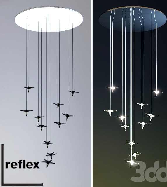 reflex