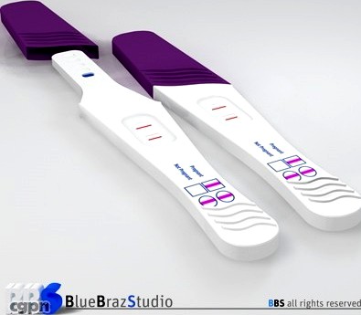 Pregnancy Test3d model
