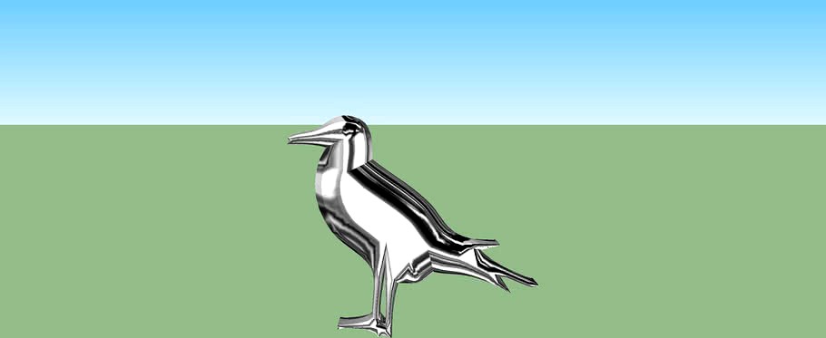 mouette