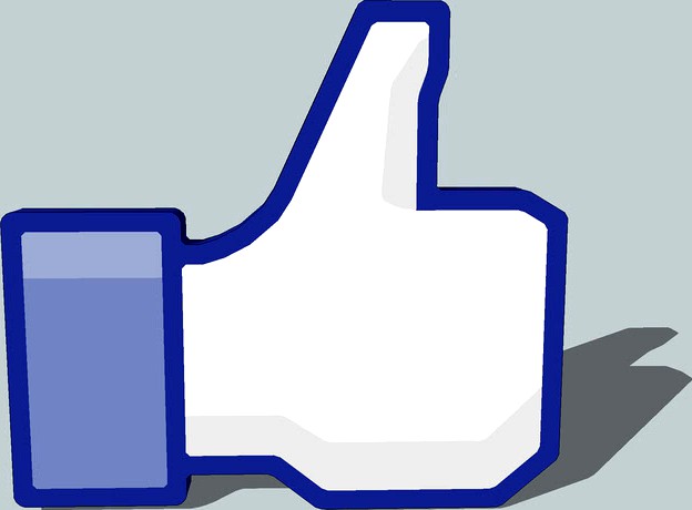 Logo - Facebook Like]