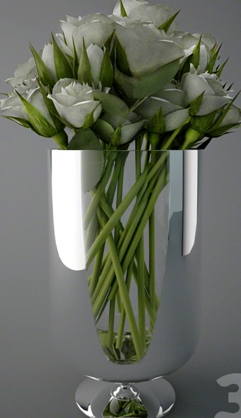 White Roses