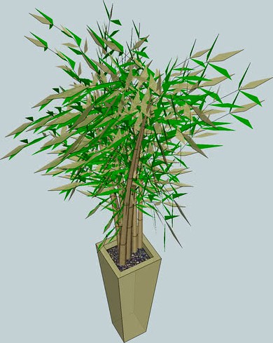 Bambu