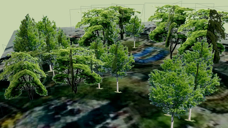 Trees at Small Rollercoaster