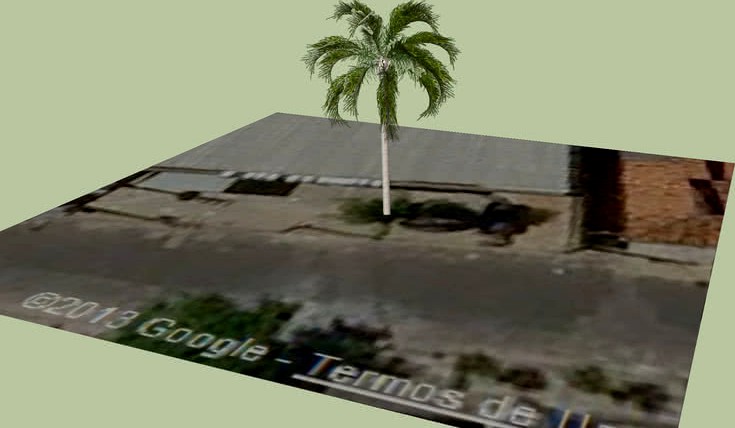 coqueiro das lojas