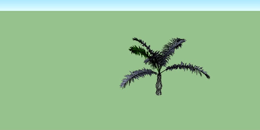 3d Palm