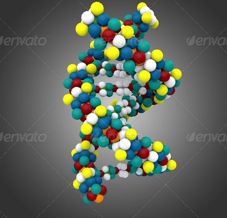 DNA Model