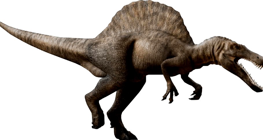Spinosaurus 2d