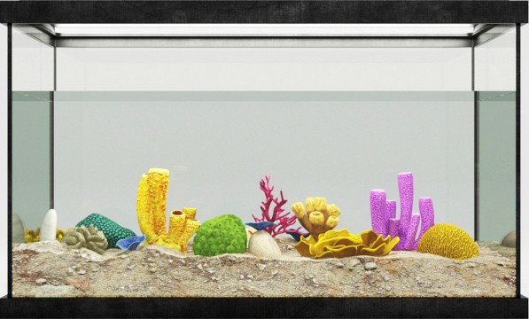 Rectangular aquarium