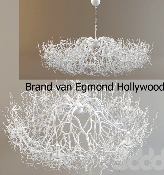 Brand van Egmond / Hollywood