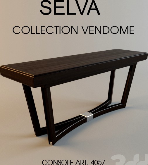 Selva консоль