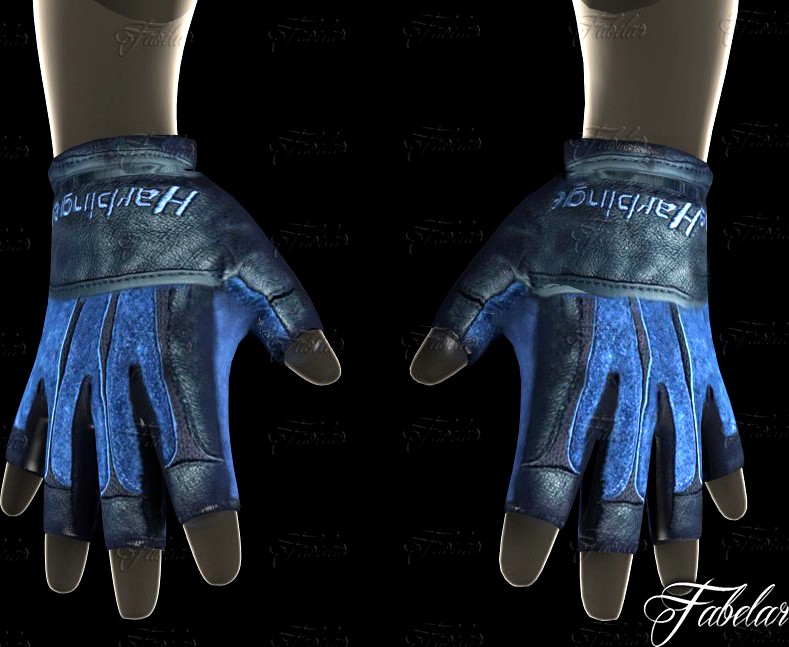 Weight lifting gloves 23d model