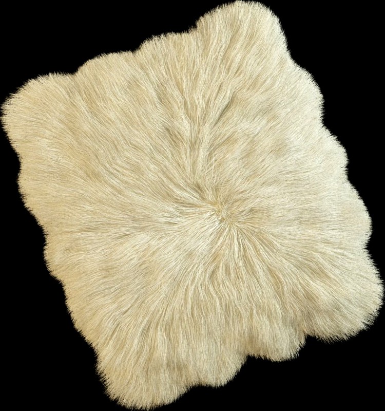 Skin sheepskin3d model