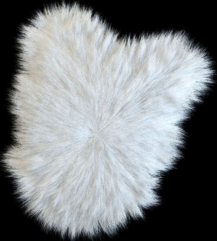 Sheep skin longhair3d model