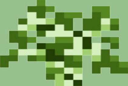 Birch Sapling (6.2)