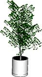 AED Planter