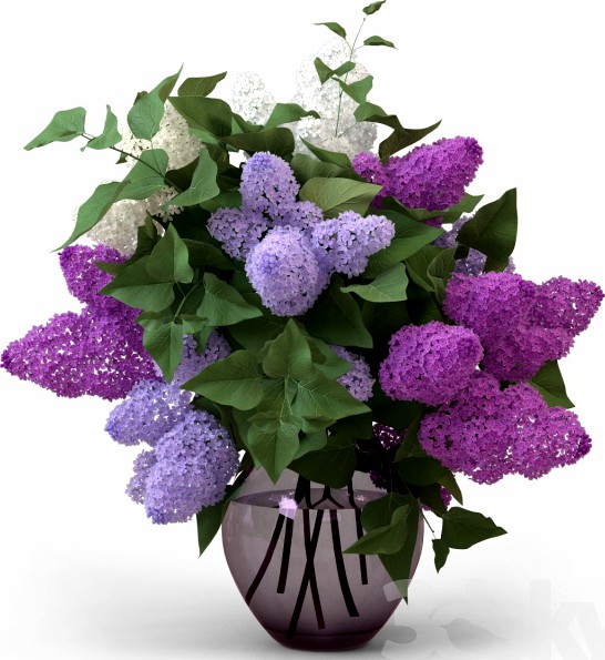 Lilac Bouquet