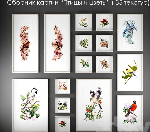 A collection of paintings of birds and flowers &quot;