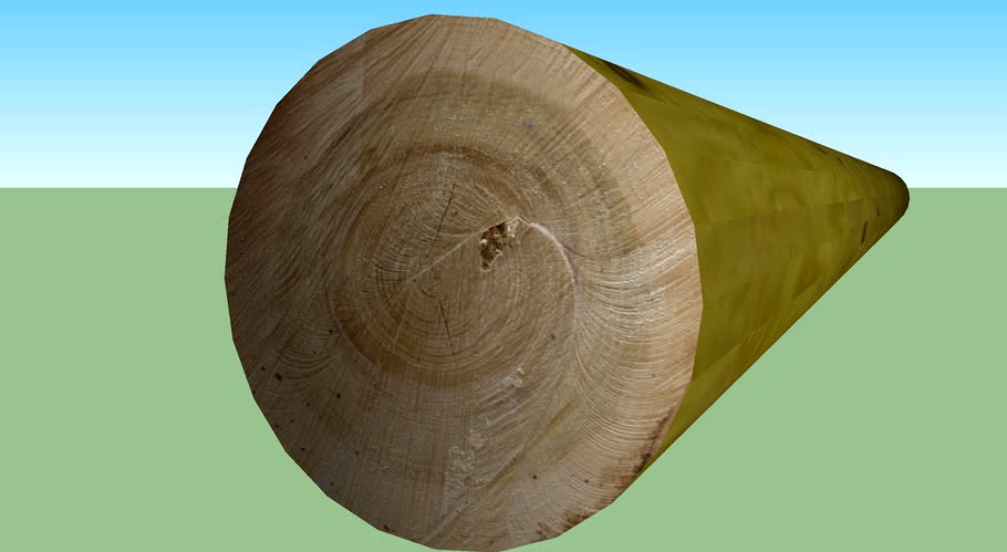 12 inch log