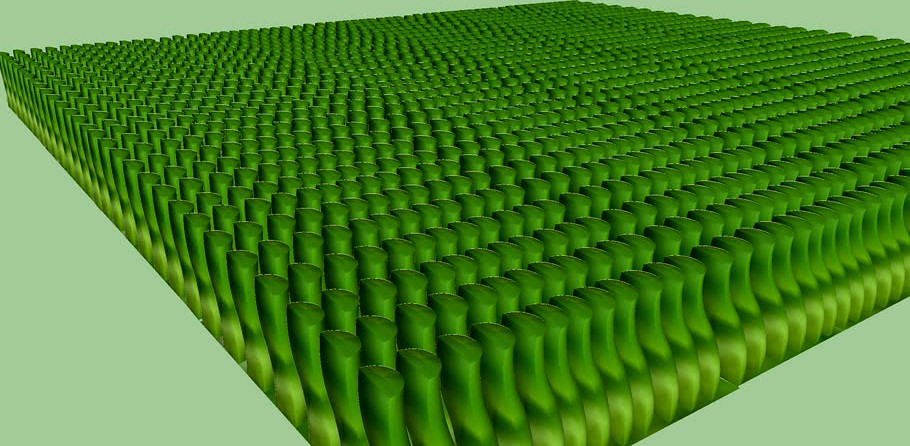 Grass