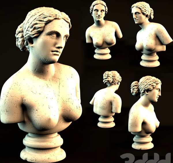 Aphrodite bust