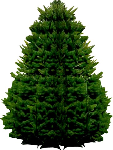 Low Poly Colorado Spruce