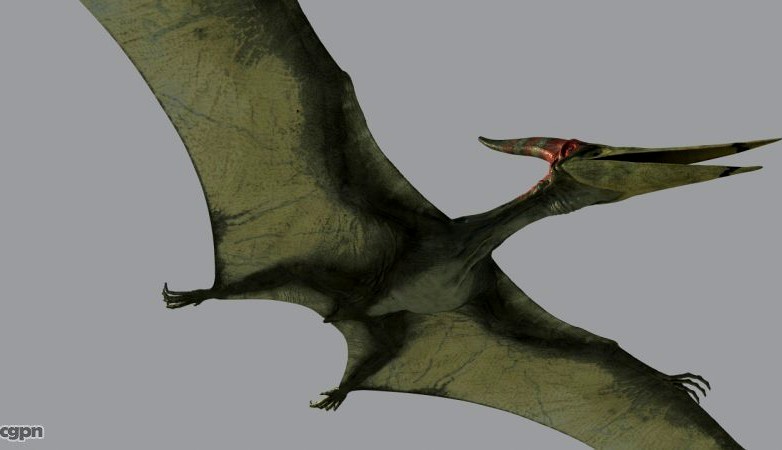 Pterodon3d model