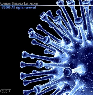 3 virus collection3d model
