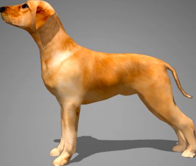 lowpoly dog3d model