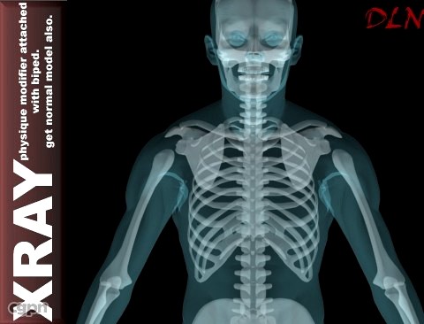 X-RAY Human Body.3d model